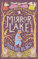 Book cover of Mirror Lake