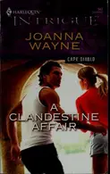 Book cover of A clandestine affair