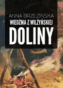 Book cover of Wiedźma z Wilżyńskiej Doliny