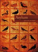Book cover of Asylum