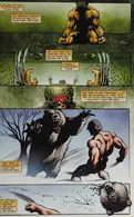 Book cover of Wolverine