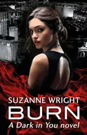Book cover of Burn