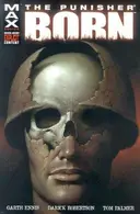 Book cover of Punisher