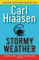 Book cover of Stormy Weather