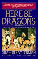 Book cover of Here be dragons