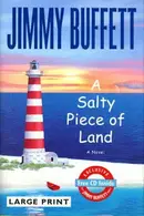 Book cover of A Salty Piece of Land