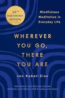Book cover of Wherever You Go, There You Are