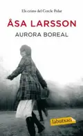 Book cover of Aurora boreal