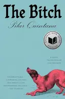 Book cover of A cachorra