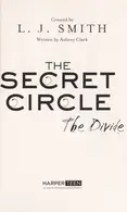 Book cover of The divide