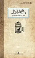 Book cover of Lüzumsuz Adam Sömizli