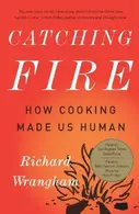 Book cover of Catching fire