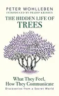 Book cover of The Hidden Life of Trees