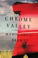 Book cover of Chrome valley: poems