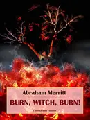 Book cover of Burn, witch, burn!