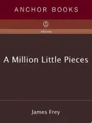 Book cover of A Million Little Pieces