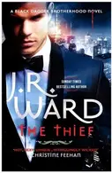 Book cover of The Thief