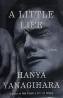 Book cover of A Little Life