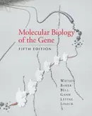Book cover of Molecular biology of the gene
