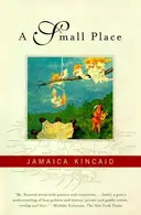 Book cover of A Small Place