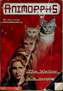 Book cover of The Visitor