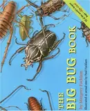 Book cover of The Big Bug Book