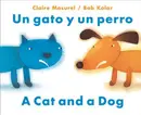 Book cover of A Cat and a Dog
