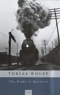 Book cover of The Night in Question