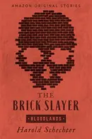 Book cover of The Brick Slayer