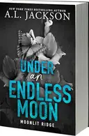 Book cover of Under an Endless Moon