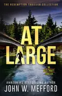 Book cover of AT LARGE