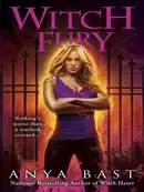 Book cover of Witch Fury