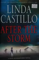 Book cover of After the storm