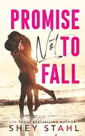 Book cover of Promise Not to Fall