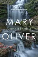 Book cover of American Primitive