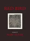 Book cover of Red Bird