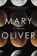 Book cover of Twelve Moons