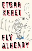 Book cover of Fly Already