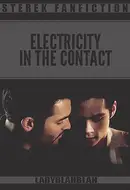 Book cover of Electricity in the Contact