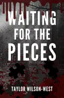 Book cover of Waiting for the Pieces