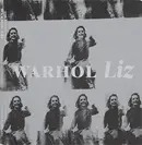 Book cover of Andy Warhol