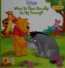 Book cover of What is that rumbly in my tummy?