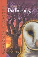 Book cover of The burning