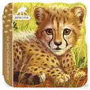 Book cover of Cheetah