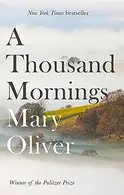 Book cover of A thousand mornings