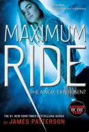 Book cover of The Angel Experiment