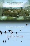 Book cover of Pretty Birds