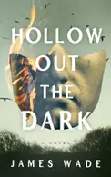 Book cover of Hollow out the dark