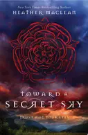 Book cover of Toward a secret sky