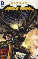 Book cover of Bruce Wayne: The Road Home
